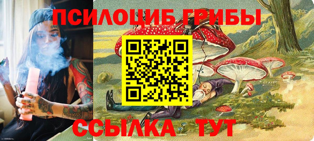 Псилоцибиновые грибы прущие грибы  Галлюциногенные грибы GOLDEN TEACHER  Дубна  Вход с VPN 