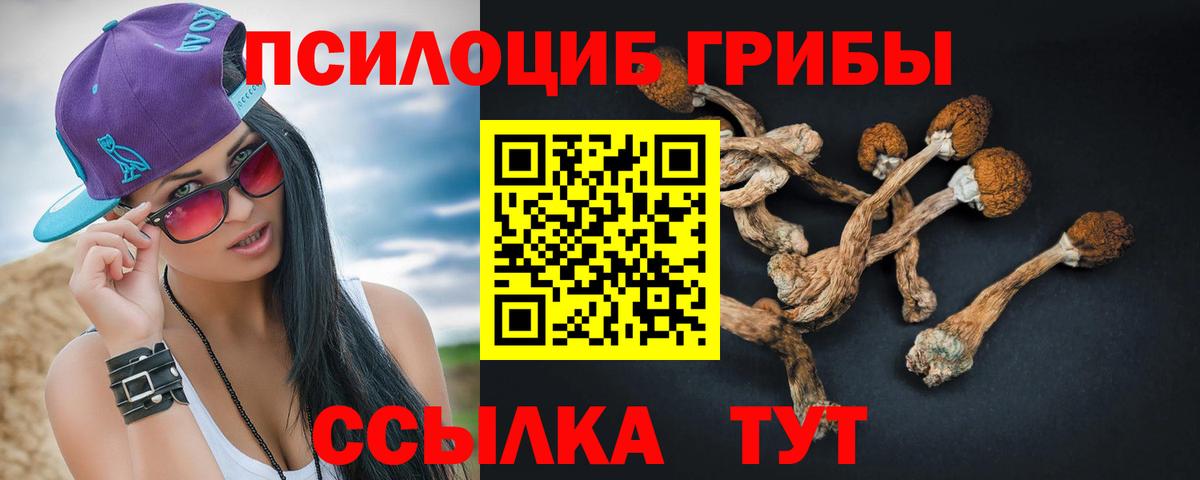 Галлюциногенные грибы Cubensis Дубна